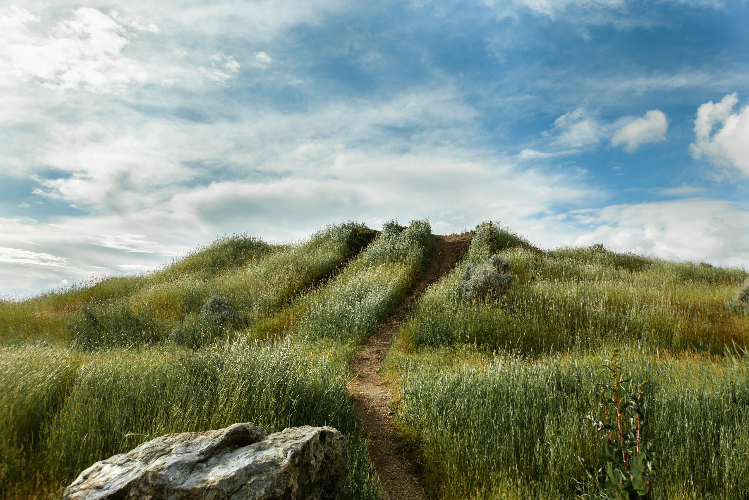 A footpath leading up a grassy hill under a blue sky